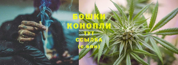 PSILOCYBIN Балабаново