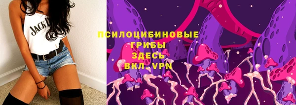 PSILOCYBIN Балабаново