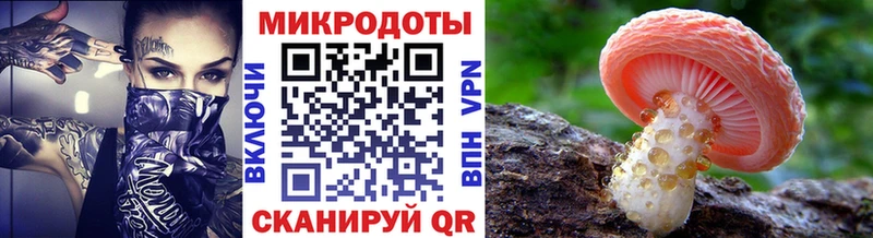 наркота  Купино  Галлюциногенные грибы Magic Shrooms 