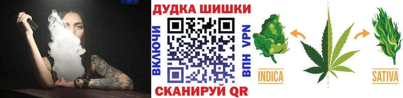Бошки Шишки гибрид  Купино 
